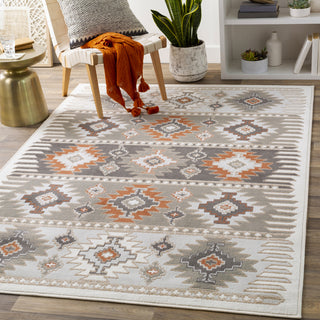 Surya Skagen SKG-2303 Area Rug Room Scene Feature