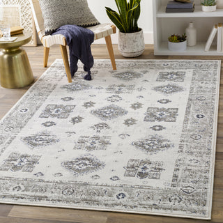 Surya Skagen SKG-2308 Area Rug Room Scene Feature