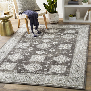 Surya Skagen SKG-2309 Area Rug Room Scene Feature