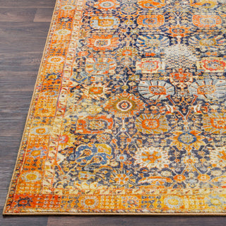 Surya Silk Road SKR-2300 Area Rug Detail Image