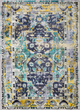 Surya Silk Road SKR-2302 Area Rug main image