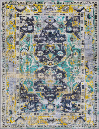 Surya Silk Road SKR-2302 Area Rug Main Image 8 X 10