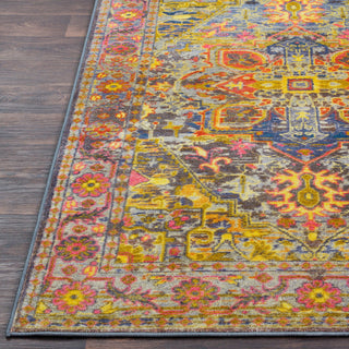 Surya Silk Road SKR-2305 Area Rug Detail Image