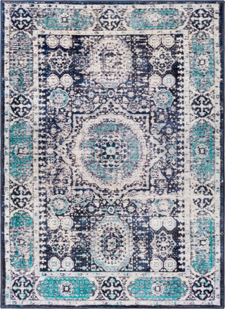 Surya Silk Road SKR-2306 Area Rug main image