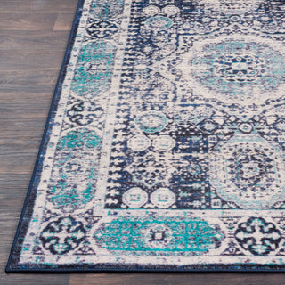 Surya Silk Road SKR-2306 Area Rug Detail Image