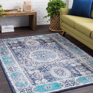 Surya Silk Road SKR-2306 Area Rug Room Image Feature