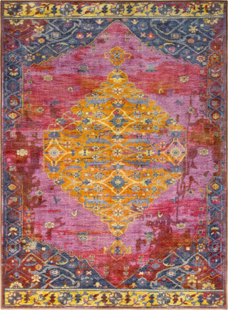 Surya Silk Road SKR-2310 Area Rug main image