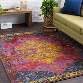 Surya Silk Road SKR-2310 Area Rug Room Image Feature