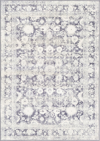 Surya Silk Road SKR-2312 Area Rug main image