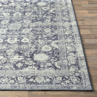 Surya Silk Road SKR-2312 Area Rug 