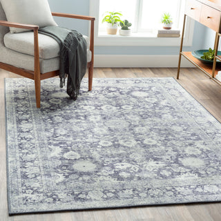 Surya Silk Road SKR-2312 Area Rug Room Scene Feature