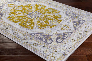 Surya Silk Road SKR-2317 Area Rug