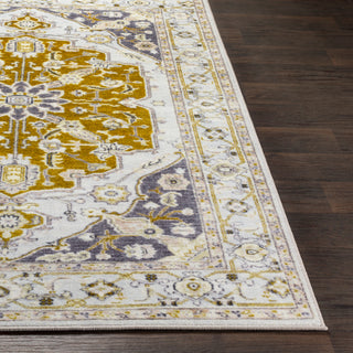 Surya Silk Road SKR-2317 Area Rug