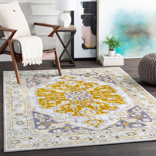 Surya Silk Road SKR-2317 Area Rug