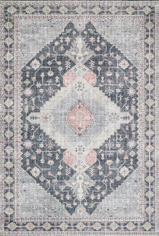 Loloi II Skye SKY-02 Charcoal/Multi Area Rug Main Image