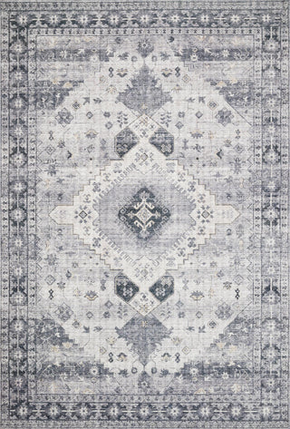 Loloi II Skye SKY-02 Silver/Grey Area Rug Main Image