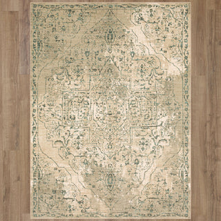 Karastan Euphoria Slaney Jadeite Area Rug Main Image