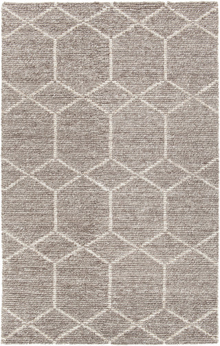 Chandra Slone SLO-32801 Taupe Area Rug main image