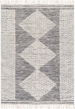 Surya Salinas SLS-2301 Area Rug