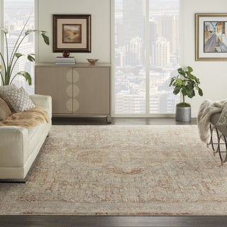 Nourison Silken Weave SLW02 Grey/Brick Area Rug