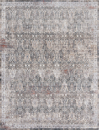 K2 SONOMA SM-788 Graphite/Earth Area Rug main image