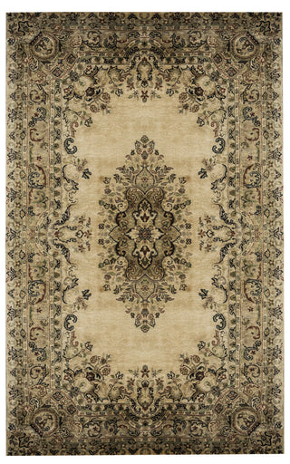 Rizzy Shine SN0344 multi Area Rug main image