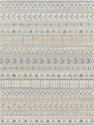 Surya Santana SNN-2304 Area Rug main image