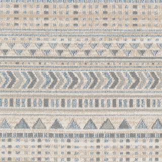 Surya Santana SNN-2304 Area Rug Swatch