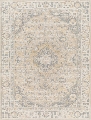 Surya Santana SNN-2307 Area Rug main image