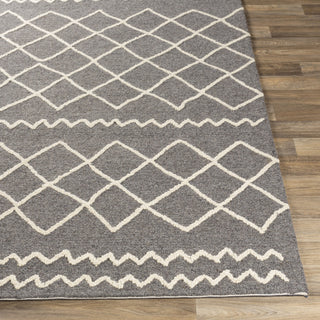 Surya Sinop SNP-2301 Area Rug