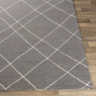 Surya Sinop SNP-2305 Area Rug