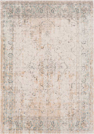 Surya Stonewashed SNW-2300 Camel Beige Sage Charcoal Taupe Area Rug main image