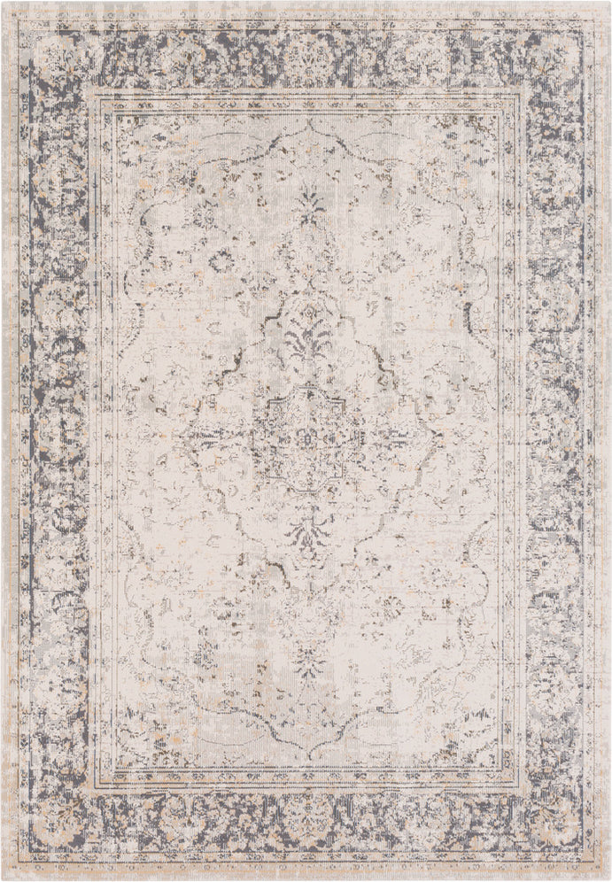 Surya Stonewashed SNW-2301 Beige Taupe Charcoal Camel Area Rug main image