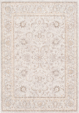 Surya Stonewashed SNW-2302 Beige Taupe Camel Charcoal Area Rug main image