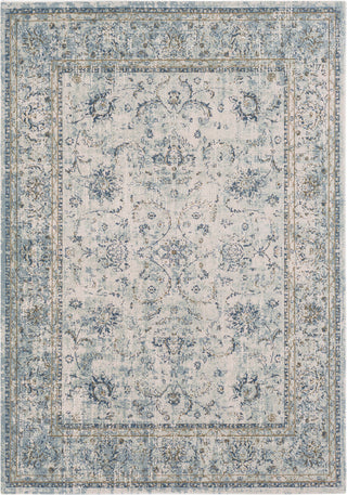 Surya Stonewashed SNW-2304 Sage Taupe Bright Blue Dark Brown Beige Area Rug main image