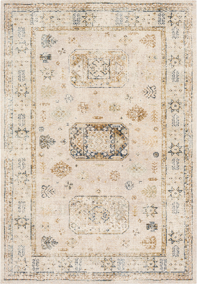 Surya Stonewashed SNW-2305 Beige Taupe Dark Brown Sage Area Rug main image
