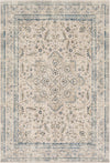 Surya Stonewashed SNW-2307 Taupe Bright Blue Beige Sage Camel Charcoal Area Rug main image