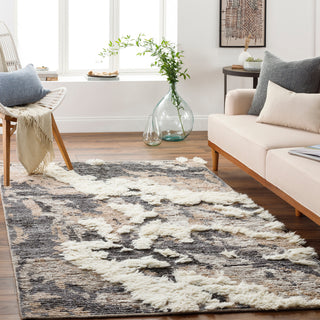 Surya Socrates SOC-2300 Area Rug Room Scene Feature