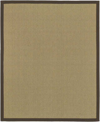 Surya Soho Border Brown Area Rug 8' x 10'