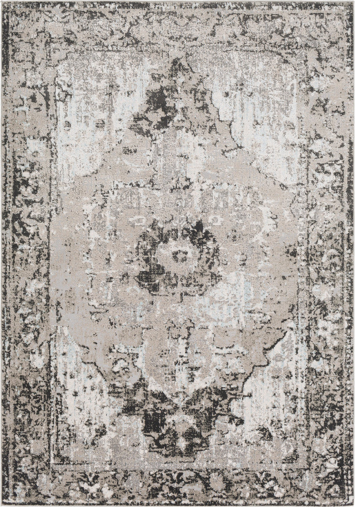 Surya Soleil SOI-2300 Area Rug main image