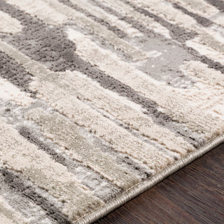 Surya Soleil SOI-2303 Medium Gray Taupe Camel Cream White Area Rug Texture Image