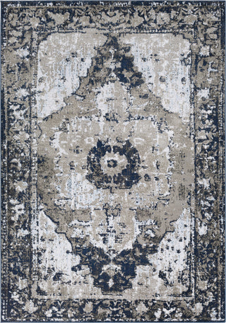 Surya Soleil SOI-2305 Area Rug main image