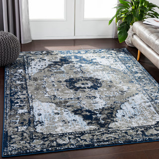 Surya Soleil SOI-2305 Area Rug Room Image Feature