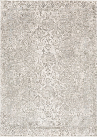 Surya Soleil SOI-2312 Medium Gray Light White Area Rug Mirror main image