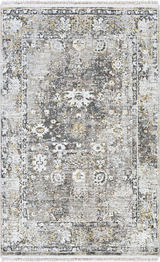 Surya Solar SOR-2308 Area Rug