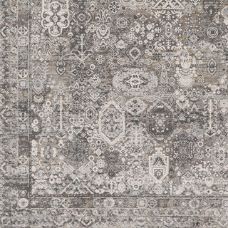 Surya Solar SOR-2313 Area Rug