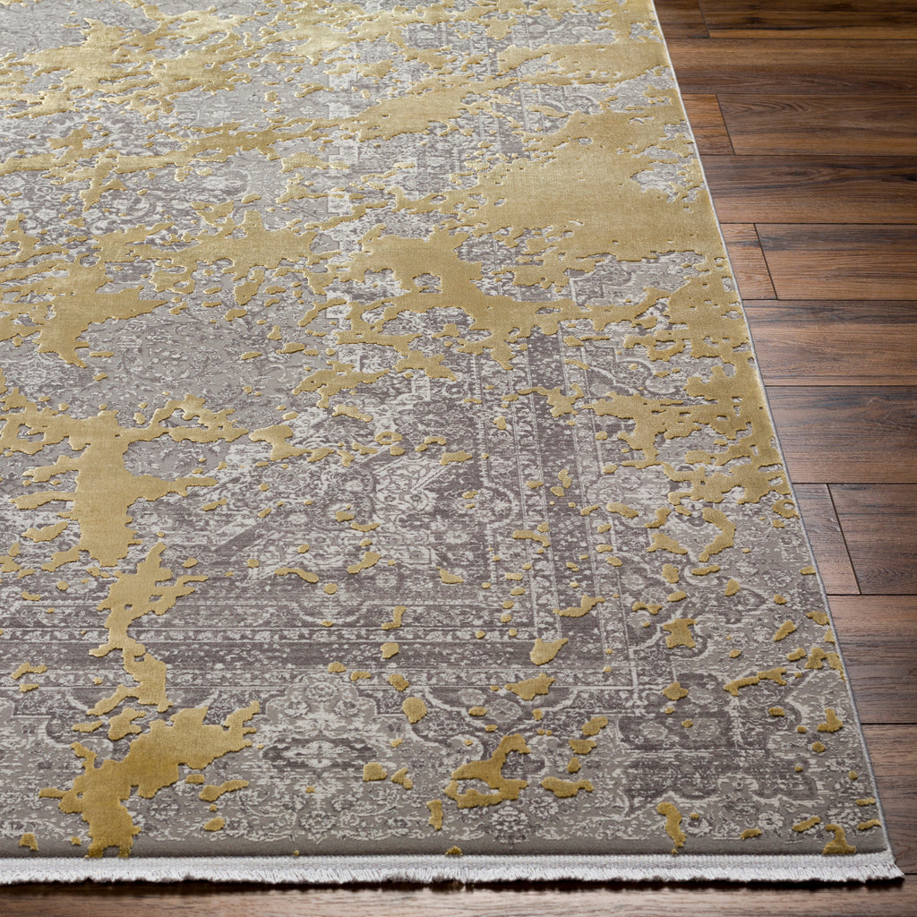 Surya Solar SOR-2320 Area Rug – Incredible Rugs and Decor