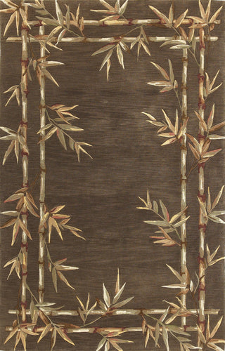 KAS Sparta 3164 Mocha Bamboo Double Border Area Rug main image