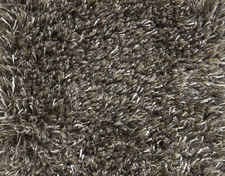 Surya Spider SPR-8003 Area Rug Sample Swatch
