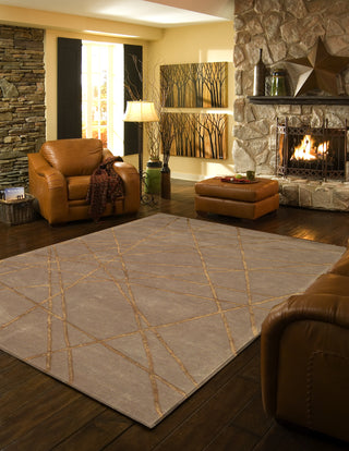 Momeni Satara SR-01 Taupe Area Rug Roomshot Feature